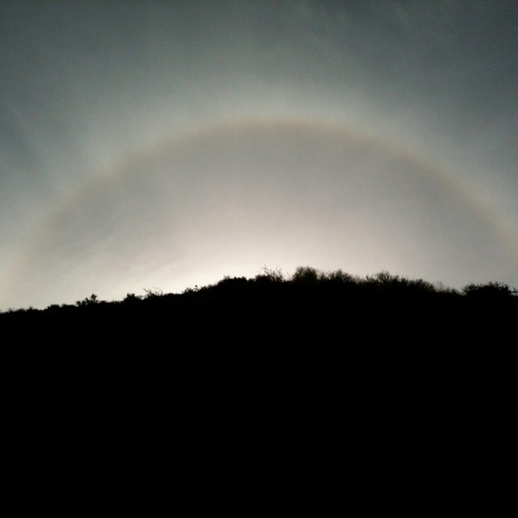 Meet your Posher, Lara - Picture 1 of 1